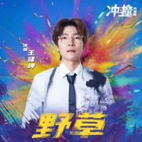野草 (电影《冲·撞》片尾曲) - Single - Essay Wang