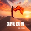 Can you hear me
