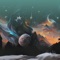 Prism Velocity - DJ RICO VIBE lyrics