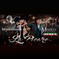 La Picaré - Single - Marco Flores Y La Jerez