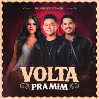 Volta pra Mim — Bonde do Brasil