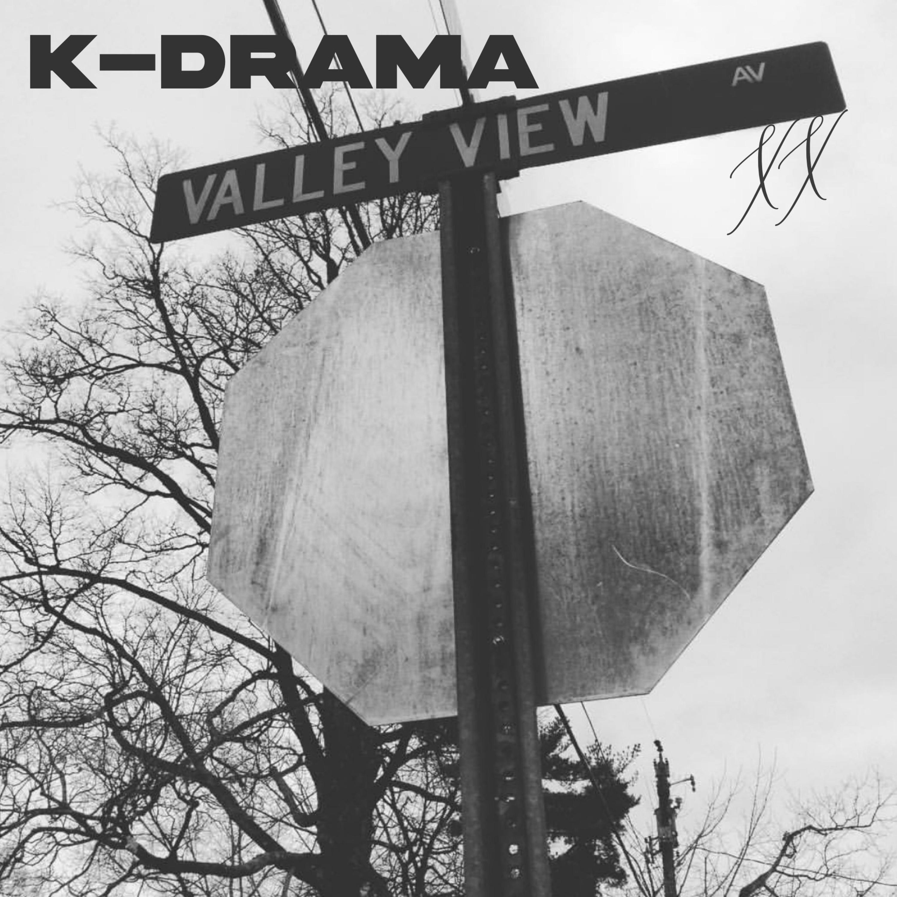 Valley View Ave XX - Single