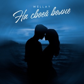 На своей волне WELLAY
