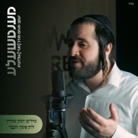 מענטשעלע - Single - Mendy Goldberg