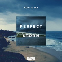Perfect Storm (You & Me) - Single - Charles Now