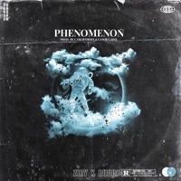 Phenomenon (feat. Buddi) - Single - Ziry