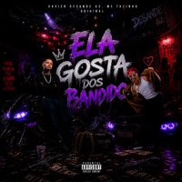 Ela Gosta dos Bandido - Single - Mc THzinho Original