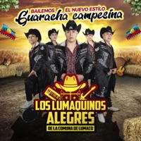 Los Lumaquinos Alegres