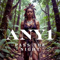 Pass The Night - Single - Any1