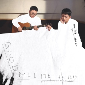 我该怎样回忆你 - Single