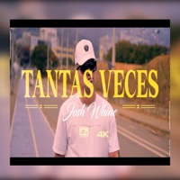 Tantas Veces - Single - Josh Lion