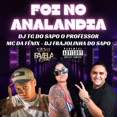 Foi no Analandia - Single