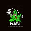 Mari (feat. El Bloonel, Young Gatillo & Z15 El Verídico) - Single