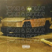 Wax & Molly (feat. PRODIG¥ & Young B) - Single - TYN Tyrone X