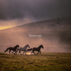 horses run Dylan Lyons