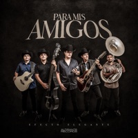 Para Mis Amigos - Efecto Elegante