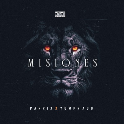 Misiones (feat. Yowprado) - Single
