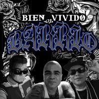 Bien Vivido El Barrio (feat. El Pinche Brujo & Descontrolados Barrio Pobre) - Single - Tinajo S13