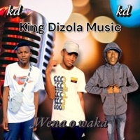 Wena o waka (feat. Spitjero & Thabzero) - Single - Dizola 47