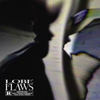 FLAWS - Single - Lobe