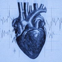 BLOOD FLOW - Single - SATOMIC
