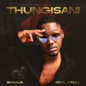 Thungisani (feat. Siya Ntuli) artwork