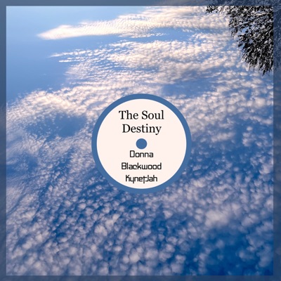 The Soul Destiny - Single
