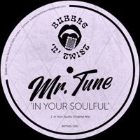 In Your Soulful - Single - Mr.Tune