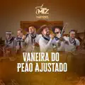 Vaneira do peão Ajustado
