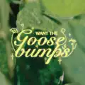 Want the Goosebumps