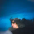 LA LEGERETE