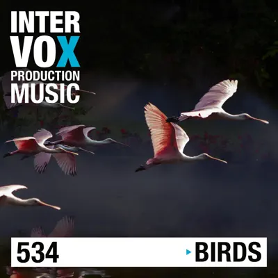 Ascolta 'Birds' di Henny Arve, Mark Morgon-Shaw, Dmytro Hurzhiy, Skydiva, Pedro Palomo, Louis Edlinger, Tony Delmonte, Jon Hansson, Viktor Petrov, Stephan Schelens, Patrick Hickl, Joachim Tospann, Laurent-Manuel Bleton, Felix Thoma, Christoph Terbuyken, Hanjo Gäbler, Markus Segschneider, Graham Andrews, Alan Jay Reed, Carsten Litfin, Abbas Premjee, Max Quanto & Intervox Music