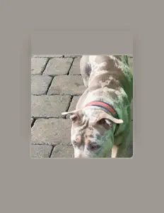 feri kill ! सुनें, म्यूज़िक वीडियो देखें, बायो पढ़ें, दौरे की तारीखें और बहुत कुछ देखें!