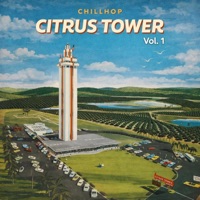 Album cover for Guf Uneshama by Citrus Tower