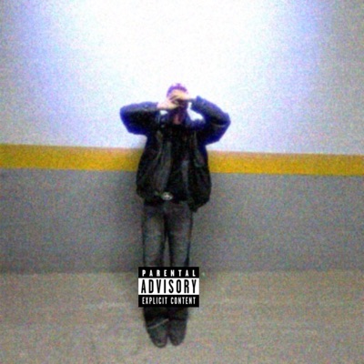 N2FLNEHA! - Single