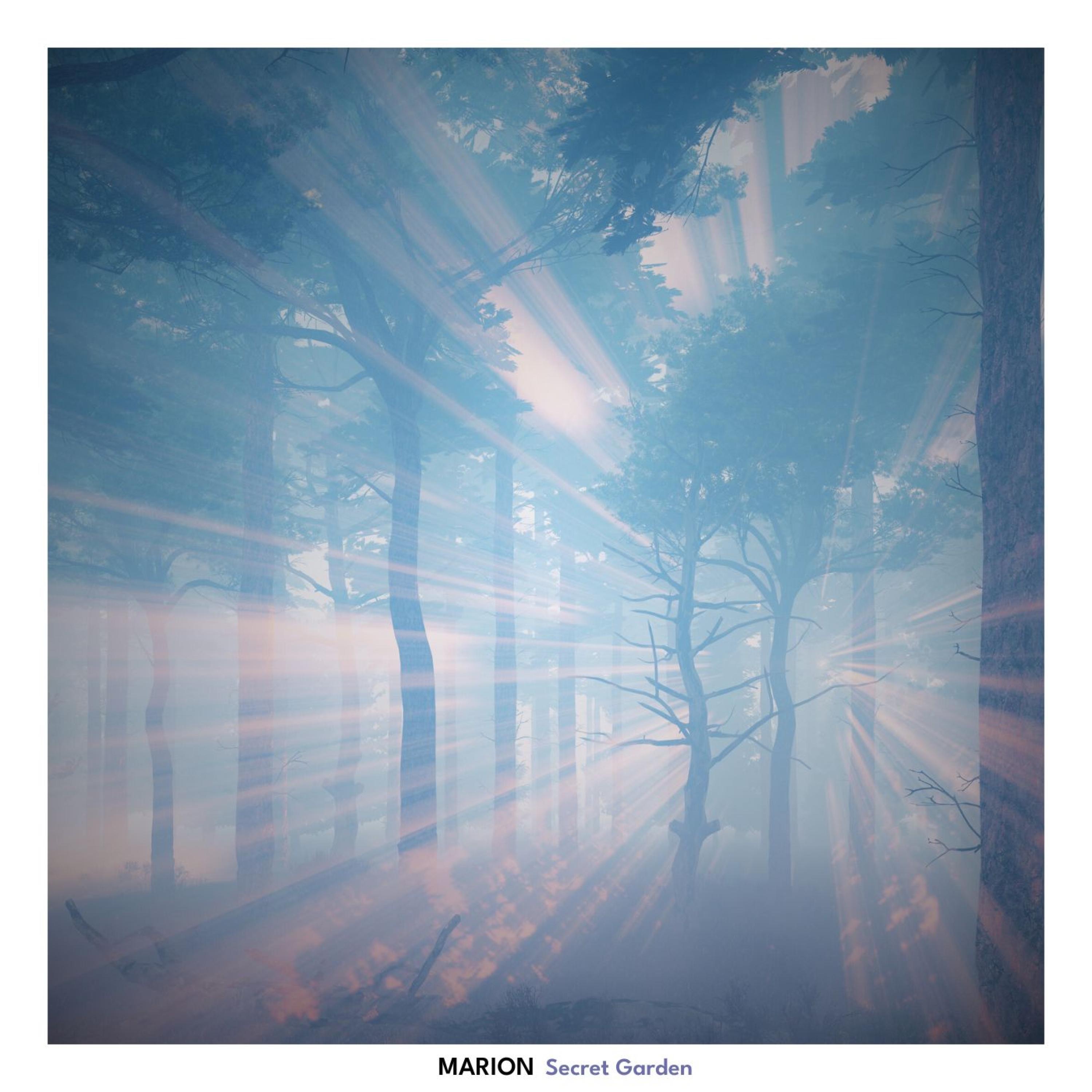 Secret Garden - Single