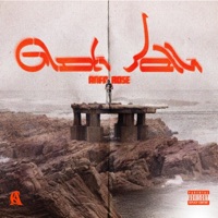 GLOBE HOPPER - Single - Anfa Rose