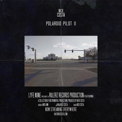 THE 2ND POLAROID PILOT