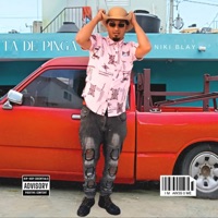 Ta de pinga Barahona - Single - Niki Blay