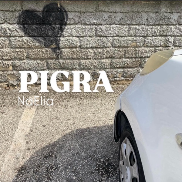 Pigra