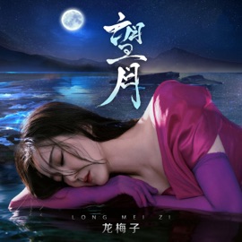 望月 (伴奏版) 龙梅子