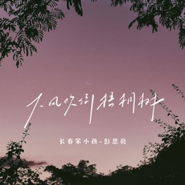 大风吹倒梧桐树 长春笨小孩-彭思亮