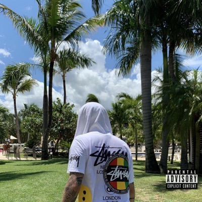 voice - Single