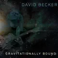 Gravitationally Bound