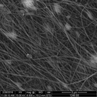 Deep Web No Love Freestyle - Single - Fukkit