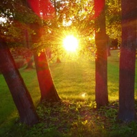 Peaceful Destination - EP - Vadim Bogac