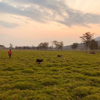 Mabunu (feat. Ambroy) - Single