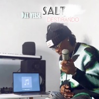 Salt (Cover) - Single - Destirando & Dai Verse