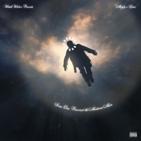 SOMEONE POISONED THE MEDICINE MAN - MONEY MOGLY & LAWS