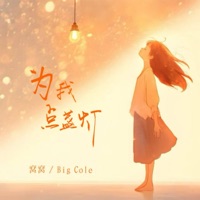 为我点盏灯 - Single - Big Cole & Wo Wo